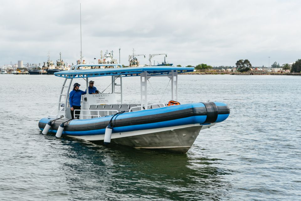 Coastal 2.5-Hour Adventure Boat Tour From Newcastle - Key Points