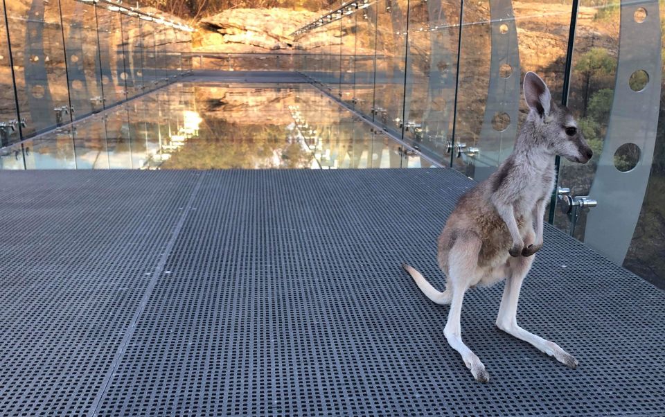 Cobbold Gorge 3 Hour Tour - Key Points