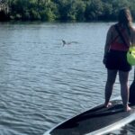 cocoa beach dolphin and manatee kayak or paddle tour Cocoa Beach: Dolphin and Manatee Kayak or Paddle Tour