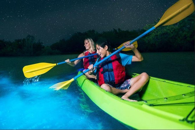 Cocoa Beach Night Time Bioluminescence Kayak Tour - Key Points