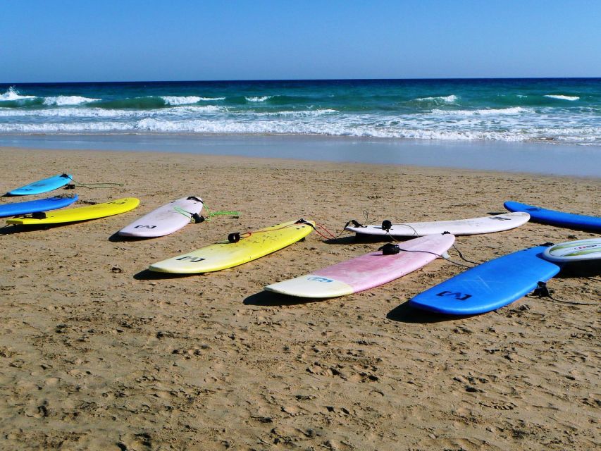 Cocoa Beach: Surfboard Rental - Key Points