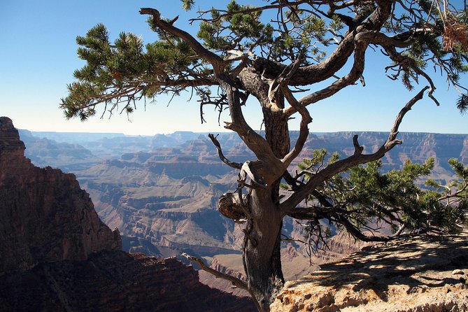 Comprehensive Grand Canyon Tour From Flagstaff W/Lunch - Key Points