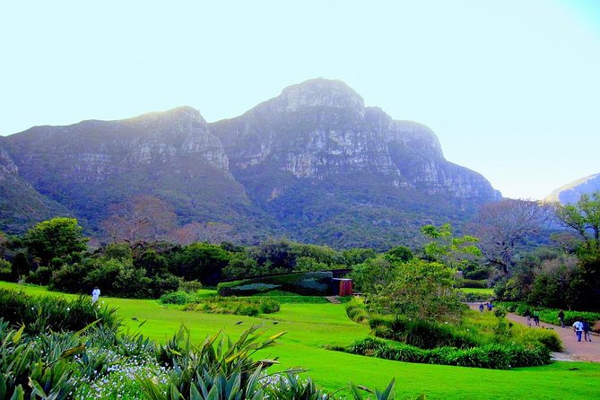 Constantia Winelands Kirstenbosch Gardens Luxury Guided Daytrip - Key Points