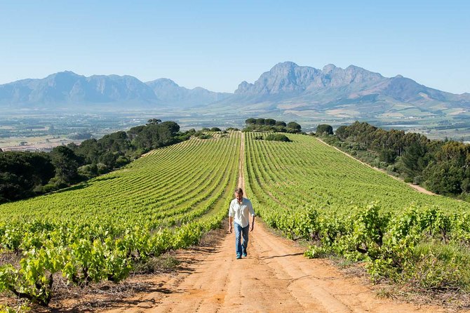 Constantia Winelands Private Wine Tour From Cape Town - Itinerary Highlights