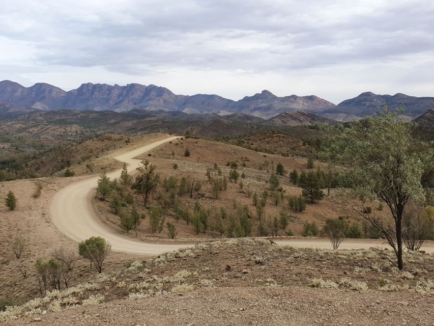 Coober Pedy: 7-Day Lake Eyre & Flinders Ranges 4WD Tour - Key Points