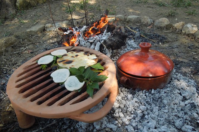 Cooking in Ancient Greece - Key Points