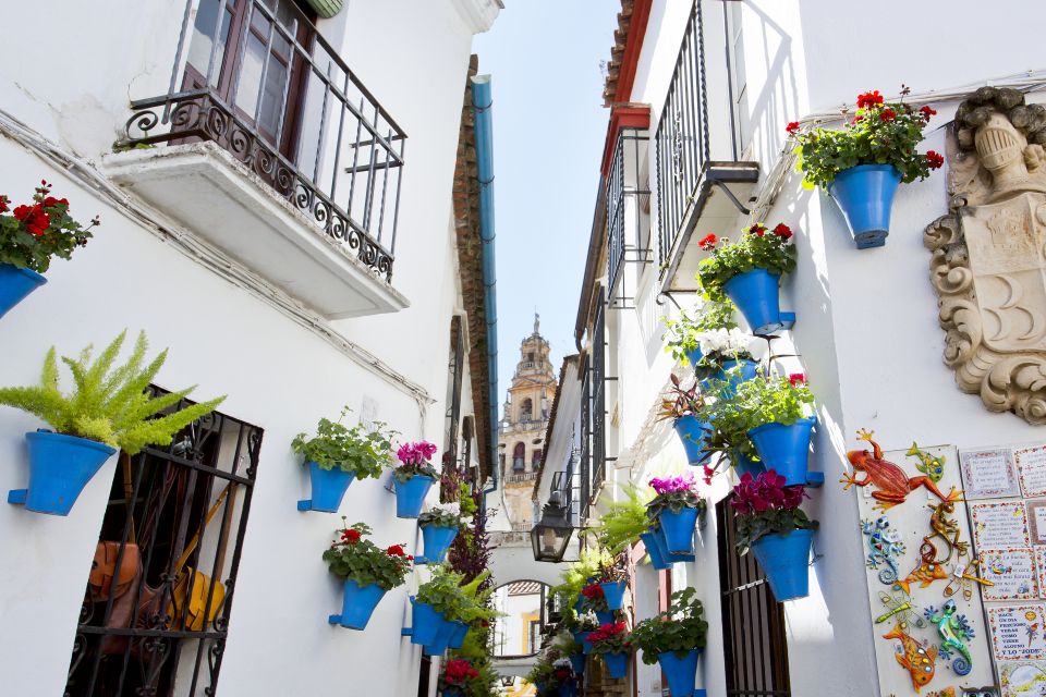 Cordoba: Mosque-Cathedral & Jewish Quarter Private Group - Key Points