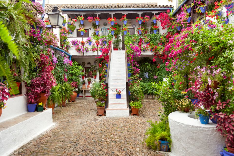 Cordoba's Authentic Patios: 2-Hour Tour With Tickets - Key Points