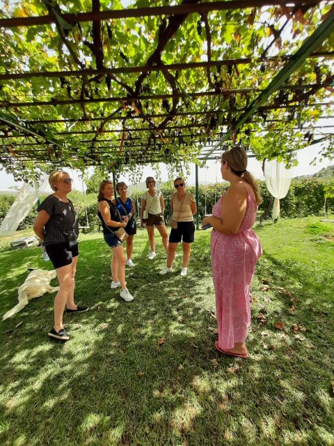 Corinth & Nemea: Guided E-Bike Tour With Wine Tasting - Key Points