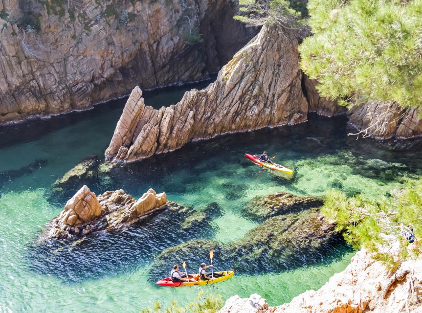 Costa Brava: Sea Caves Kayaking and Snorkeling Tour - Key Points