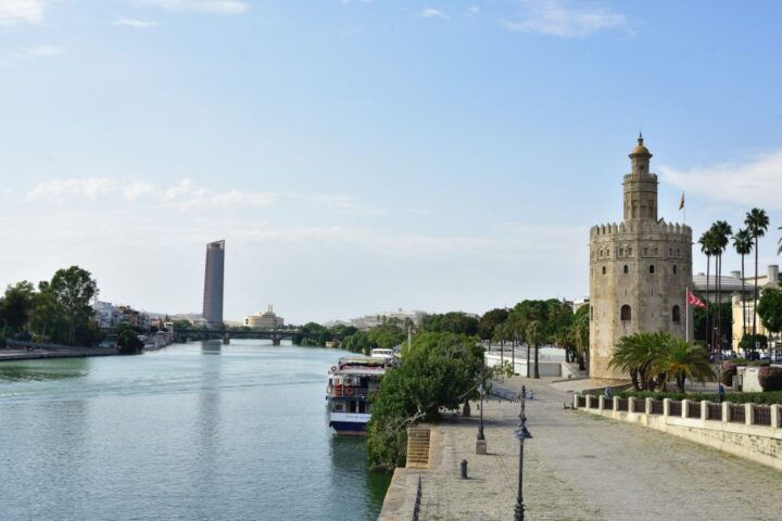 Costa Del Sol: the Alcázar & Seville Cathedral Private Tour - Key Points