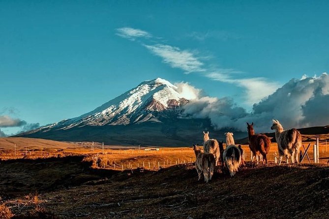 Cotopaxi Hike & Horse - Key Points
