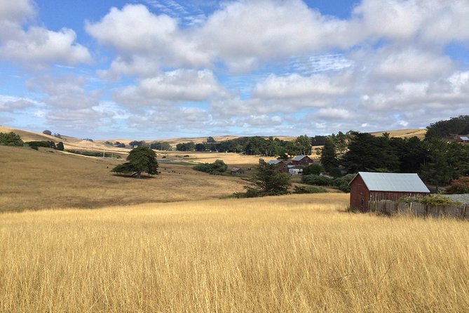 Cow Heaven: a Self-Guided Driving Tour From Point Reyes Seashore to Tomales - Key Points