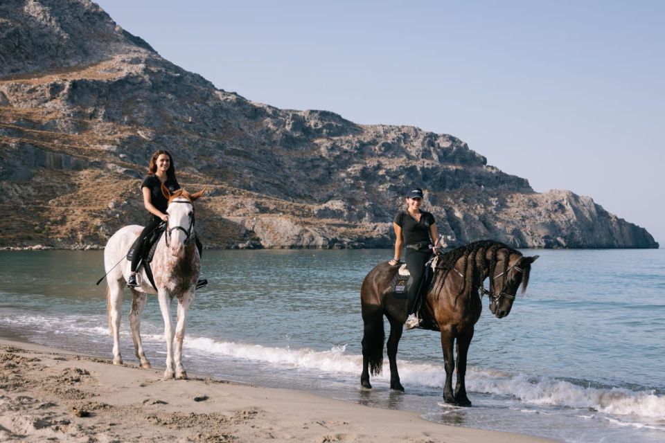 crete horse riding plakias beach ride Crete Horse Riding: Plakias Beach Ride