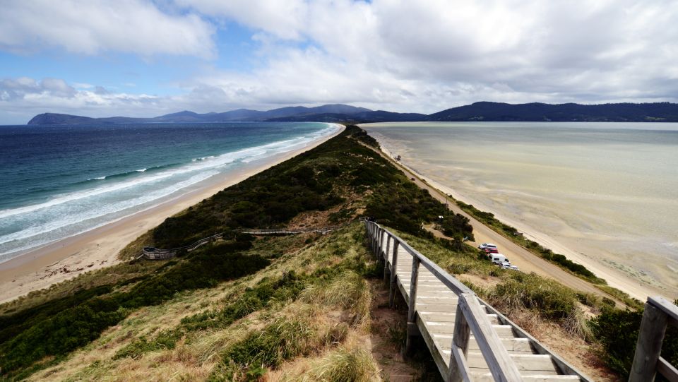 Cruise Ship Bruny Island Shore Excursion - Key Points