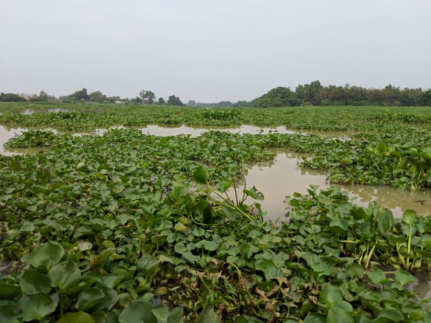 Cu Chi Tunnels & Mekong Delta Group Tour Full Day - Activity Details