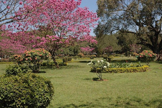 Cubbon Park Walk- Namma Bengaluru Heritage Walk - Key Points