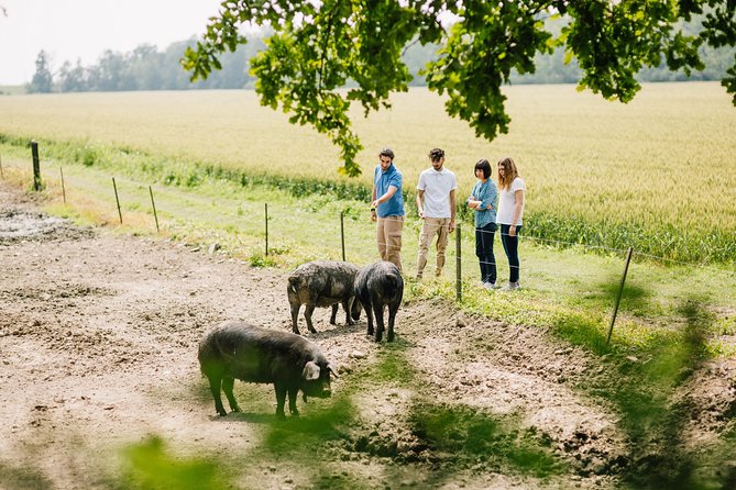 Culatello of Zibello Private Tour With Lunch and Farm Visit - Key Points