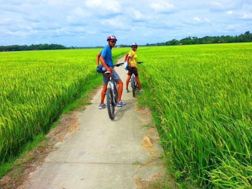 Daily TOUR HOI an COUNTRYSIDE BIKE TOUR Without Meal - Key Points