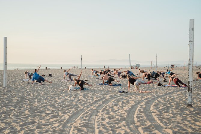 Daily Yoga Classes in Mallorca - Key Points