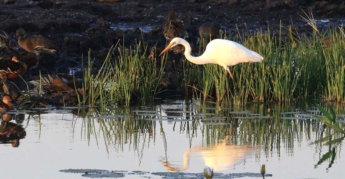 Darwin: Fogg Dam Wetlands Sunset & Humpty Doo Hotel Tour - Key Points