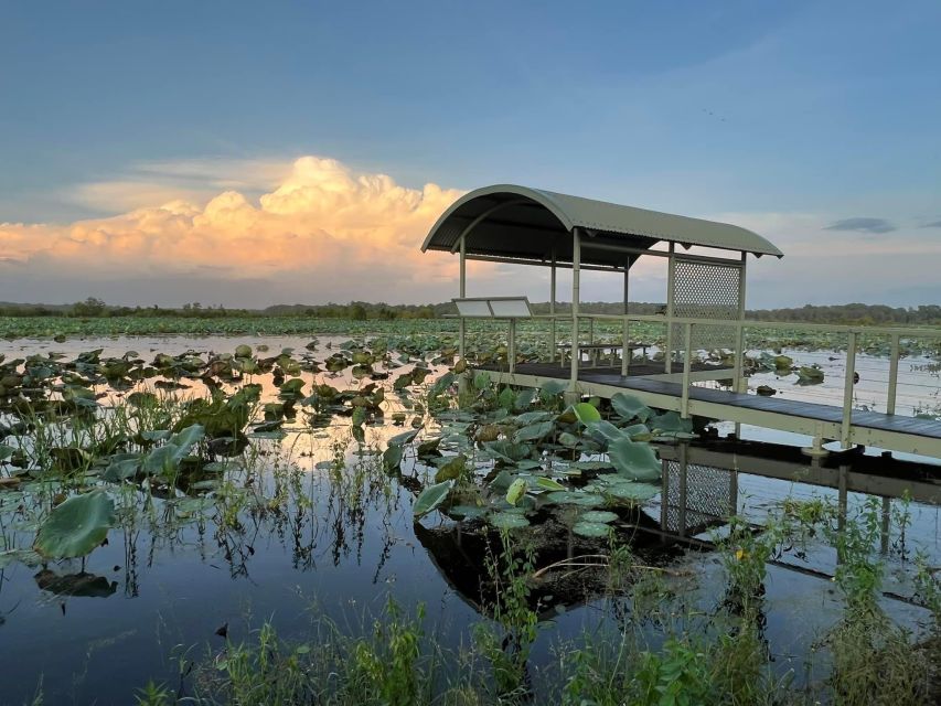 Darwin: The Croc Bus to the Famous Jumping Crocodile Cruise - Key Points