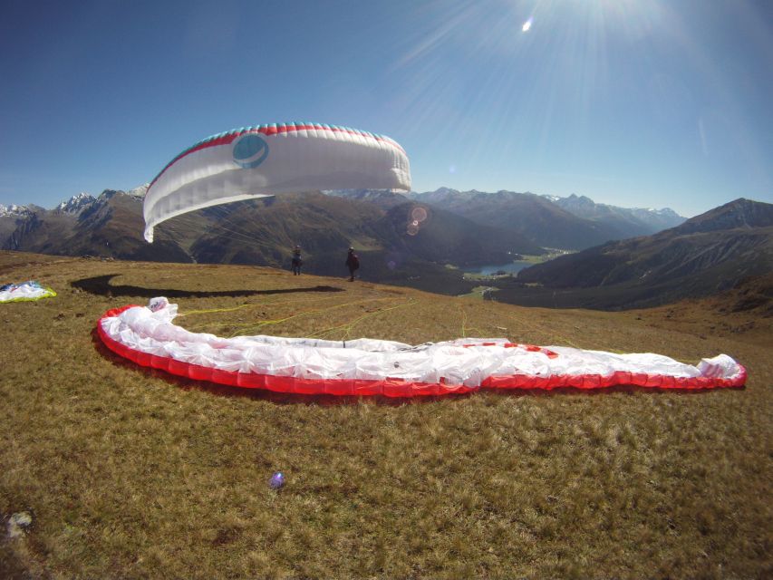 Davos: Tandem Paragliding Experience - Key Points