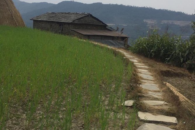 Day Hiking to Beautiful Nepali Village to Explore Nepali Culture From Pokhara - Key Points