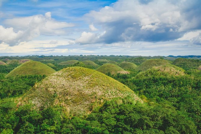 Day Swing to Bohol - Key Points