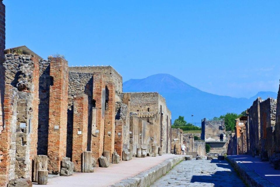 Day Trip From Rome to Pompeii - Key Points