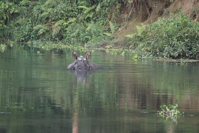 Day Walk(8-10h.) Inside Chitwan National Park. - Meeting Point and Pickup Information