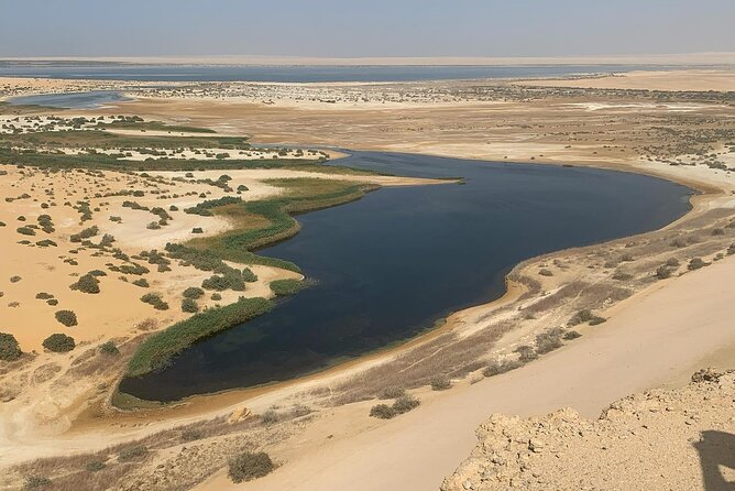 Desert Camping and Valley of Whales Tour in the Egypt Desert  - Cairo - Key Points