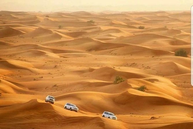 Desert Safari Dubai With 30 Minutes Quad Bike (ATV) - Key Points