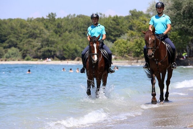 Didim Horse Safari - Key Points