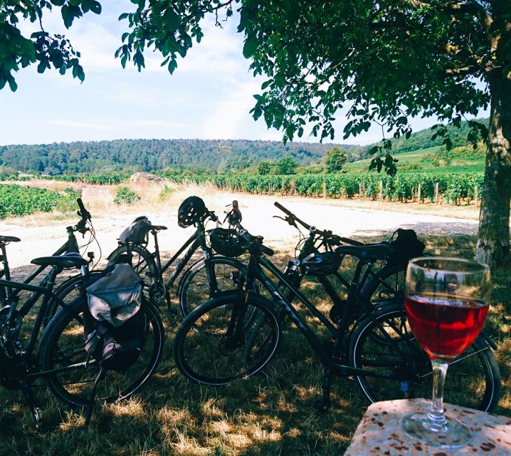 Dijon: Bike Tour and Tastings in the Vineyards of Burgundy - Key Points