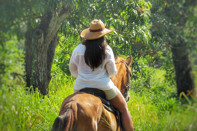 Discover a Nature Reserve on Horseback - Key Points