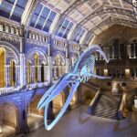 discover londons natural wonders museum expedition Discover Londons Natural Wonders: Museum Expedition