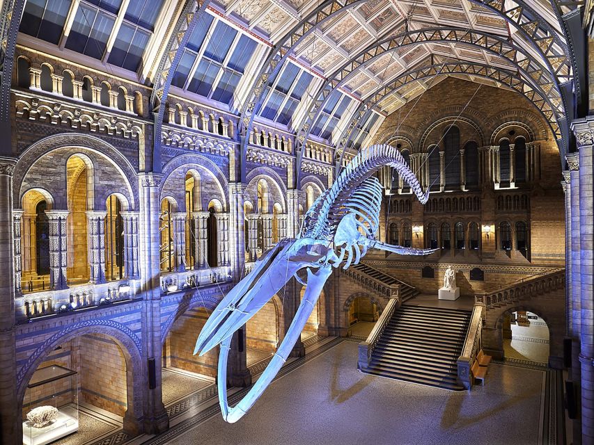 Discover Londons Natural Wonders: Museum Expedition - Key Points