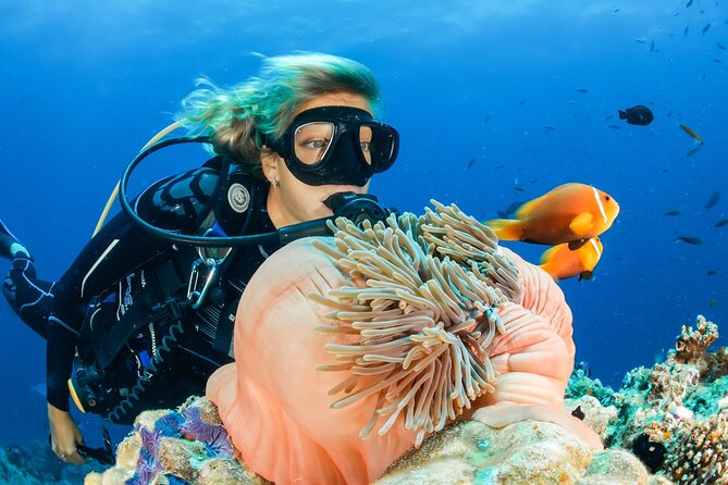 Discover Scuba Diving Adventure in Dubai With Private Transfer - Key Points