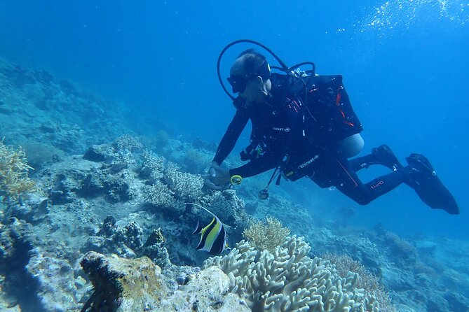 Discover Scuba Diving at Phu Quoc Island - Key Points