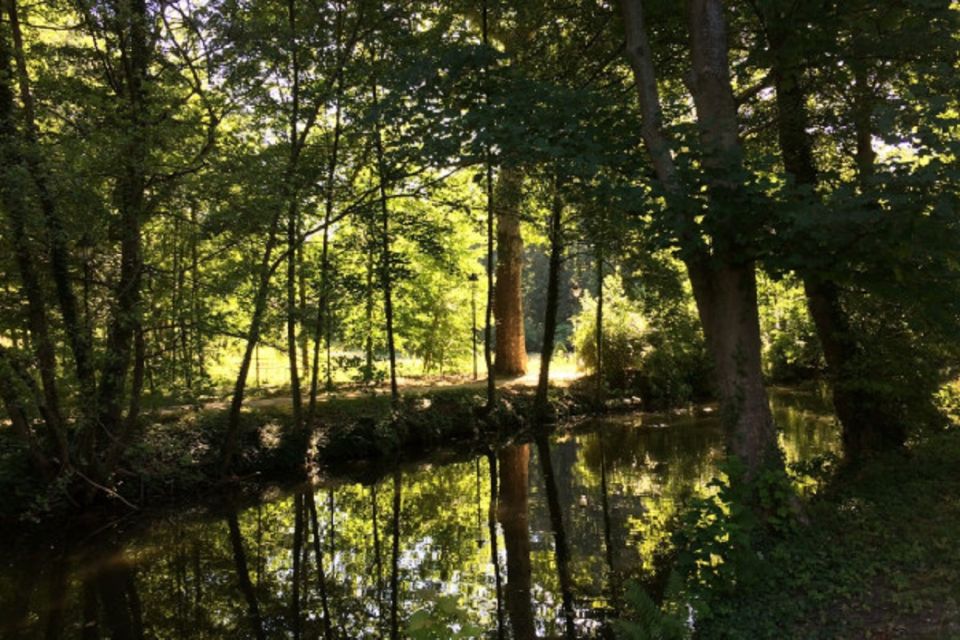 Discover the Bièvres Valley & History Through a Walking Show - Key Points