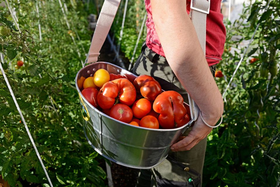 Discover the Opéra Bastille Rooftop Farm - Key Points