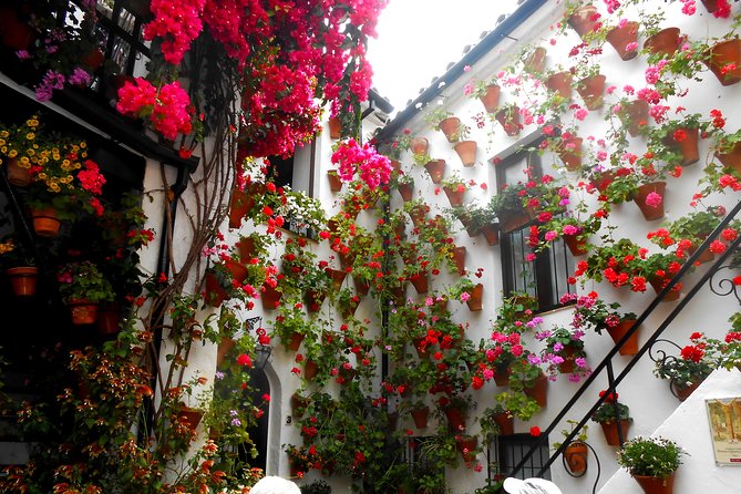 Discover the Patios De Córdoba: Guided Tour - Key Points