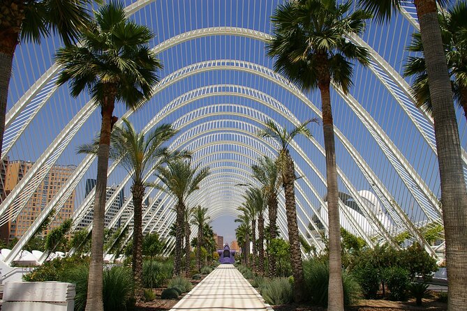 Discover Valencia's Romantic Side On Foot - Key Points