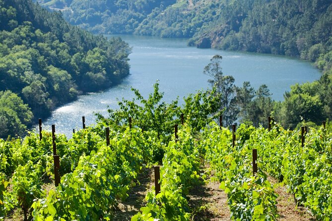 Discovering the Beauty of Ribeira Sacra: A Private Tour - Key Points