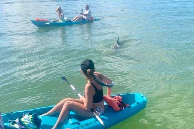 Dolphin and Manatee Kayak Tour of Daytona Beach - Key Points