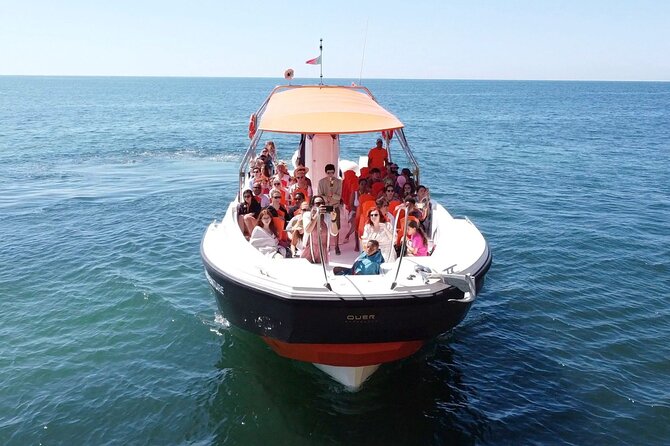 Dolphin Safari and Cave Tour From Vilamoura