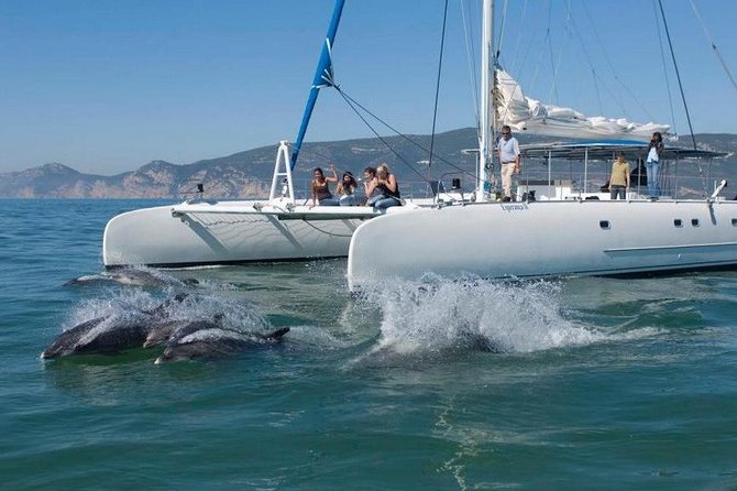 Dolphin Watching: Excursion From Lisbon - Key Points