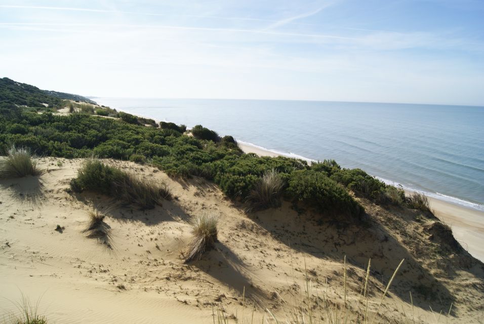 Doñana National Park Off-Road Tour From Seville - Key Points