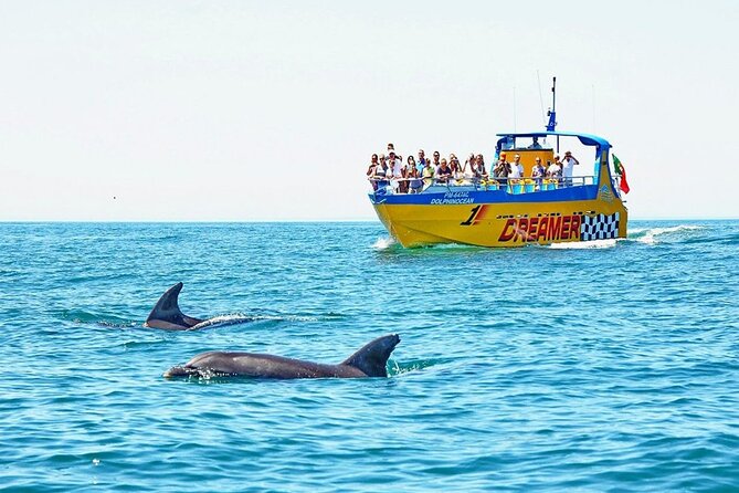 Dreamer Cave and Dolphins Boat Tour From Albufeira - Key Points